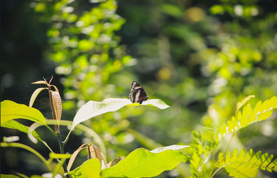 宣傳片動(dòng)畫視頻制作能傳達(dá)什么?